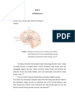 Anatomi Dan Fisiologi Organ Terkait Dari Kesadaran-1