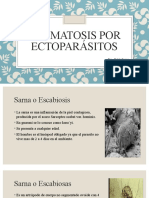 Ectoparasitosis