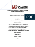 2 Da Práctica - Derecho Ambiental Internacional- Filial Arequipa.