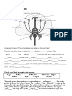 Plant Reproduction Guide STR FLOWER and POLINATION