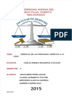 PDF Mono de Derecho de Las Personas