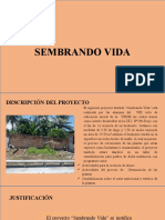 Comunitaria Proyecto