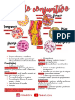 Matriz extracelular e suas componentes