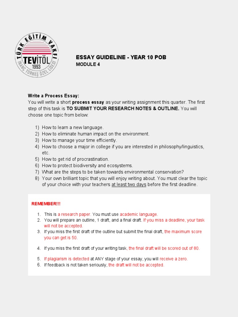 Essay Guideline Year 10 Pob Remember!!! PDF Volleyball Essays