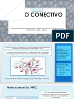 Matrices Extra Celulares, Colageno