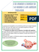 Informe Transporte de O2 y CO2