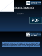 Sistema Articular, Sistema Muscular, Sistema Nervioso