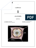 Aparato Ocular