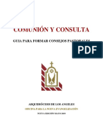 Consejos Pastorales