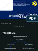 Anquiostomiasis, estrongiloidiasis y larva migrans cutánea