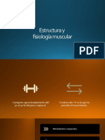 Estructura y fisiología muscular