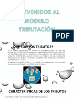 Diapositivas Material Modulo 2 Tributacion