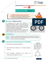 Ficha 19 VII Matematica