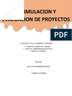 FORMULACION Y EVALUACION DE PROYECTOS 1 (Autoguardado)