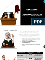 Garantías Constitucionales