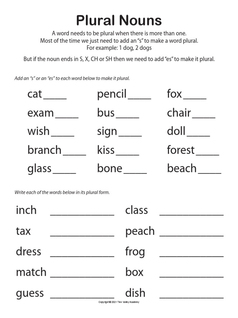 Plural Nouns Worksheets | PDF | Plural | Grammatical Number