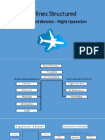 Airlines Structured: The Related Division - Flight Operation