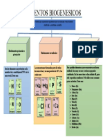 Mapas Conceptuales