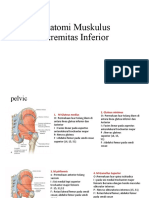 LO3 Anatomi Muskulus Extremitas Inferior