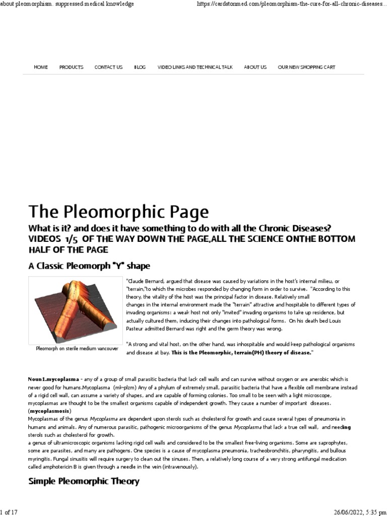 About Pleomorphism. Suppressed Medical Knowledge | PDF | Mycoplasma ...