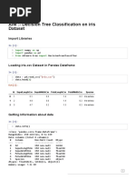 02 - Decision Tree Classification On Iris Dataset