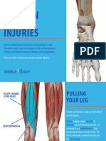 VisibleBody Sports Injuries