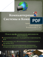 Kompyuternye Sistemy i Kompleksy Oblast Professionalnoy Deyatelnosti Vypusknikov