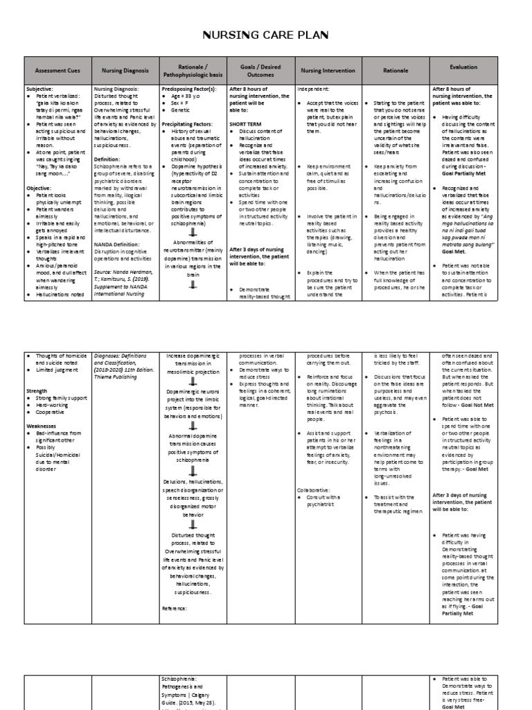 Case 3 Nursing Care Plan | PDF | Schizophrenia | Delusion
