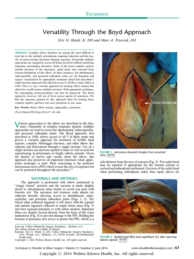 Boyd Approach To Elbow | PDF | Elbow | Diseases And Disorders