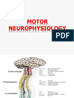 Genral Motor Function, SC and Muscle Spindles