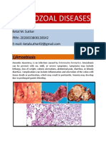 Protozoal Diseases - Ketal Suthar