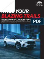 Race Your: Blazing Trails