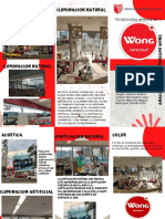 Triptico Wong - Tecno 02