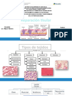 Reparacion Tisular