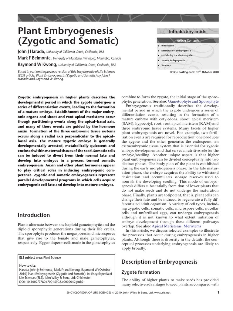 Plant Embryogenesis (Zygotic and Somatic) : Introductory Article | PDF ...