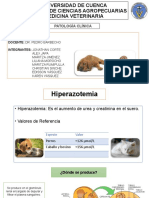 AZOTEMIA Final Exposicion