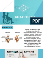 Curs 7 - Coxartroza