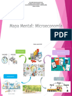 Mapa Mental Microeconomia