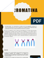 La Cromatina
