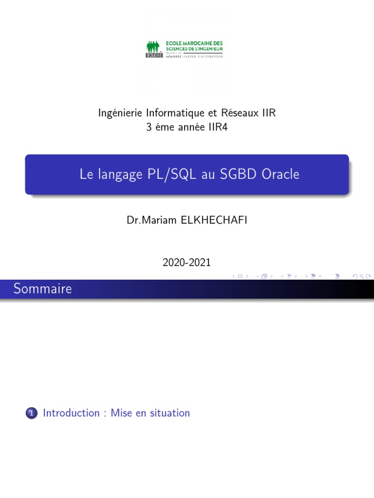 PL/SQL et SGBD Oracle en IIR | PDF | Bases de données | Base de données ...