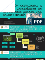 Exposición Ocupacional A Agentes Cancerígenos en Los Sectores Final 08.05.2022