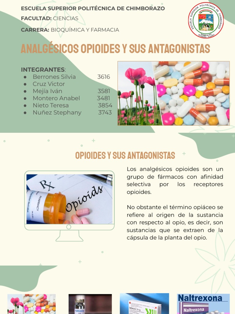 Presentación de Analgésicos Opioides y Sus Antagonistas | PDF | Opioide ...