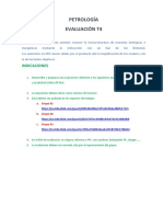 Petrología Evaluación T4: Indicaciones