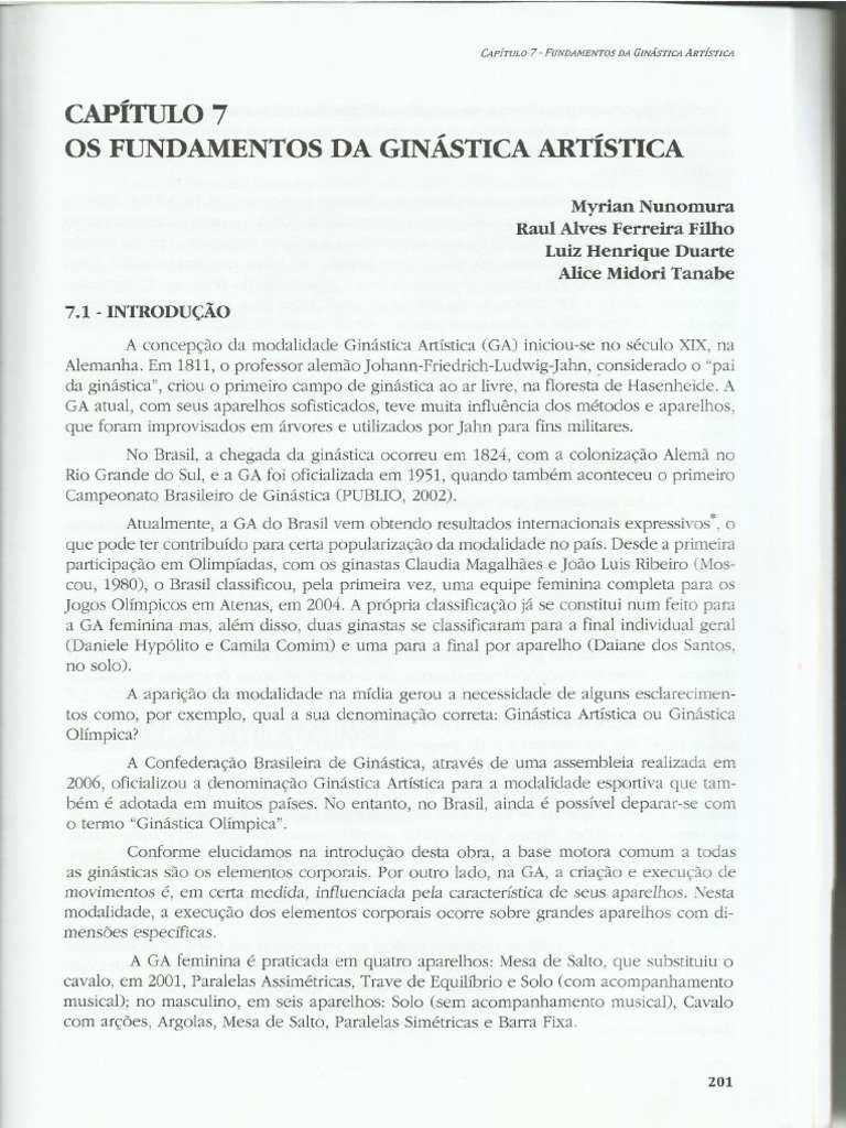 Cap 7 Fundamentos Da GA | PDF
