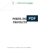 Perfil proyecto mejora vial