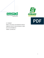 Emsad 72 Proyecto Productivo