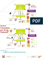 Clase Fisiopatología Diabetes Marzo 2021