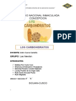 Proyecto Monografico Sobre Los Carbohidratos594-1