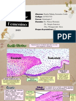 CuelloUterinoYFolículosOváricos