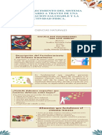 El Fortalecimiento Del Sistema Inmunitario A Traves de Una Alimentacion Saludable y La Actividad Fisica. Josthin Vernaza Velasco 8vo B